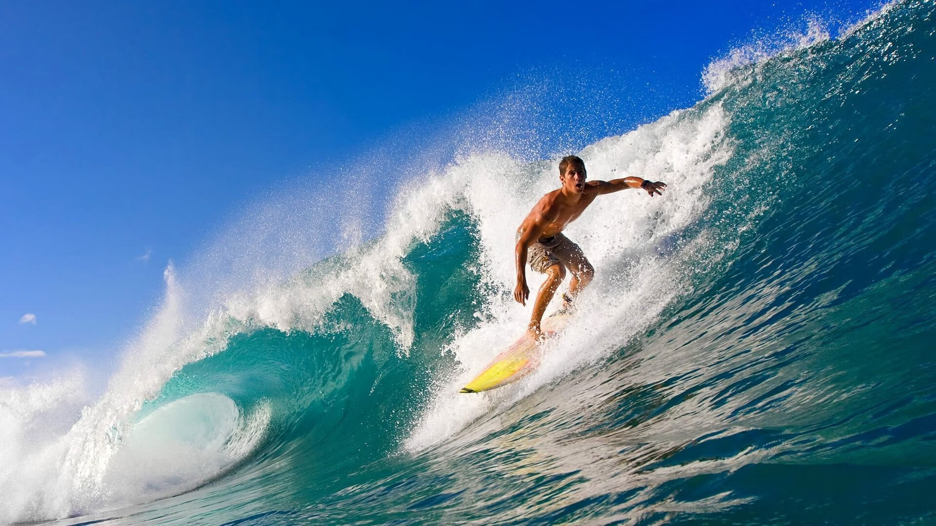 年度焦点之战，开拓者撕裂紫金王朝，黑八奇迹从玫瑰城升起